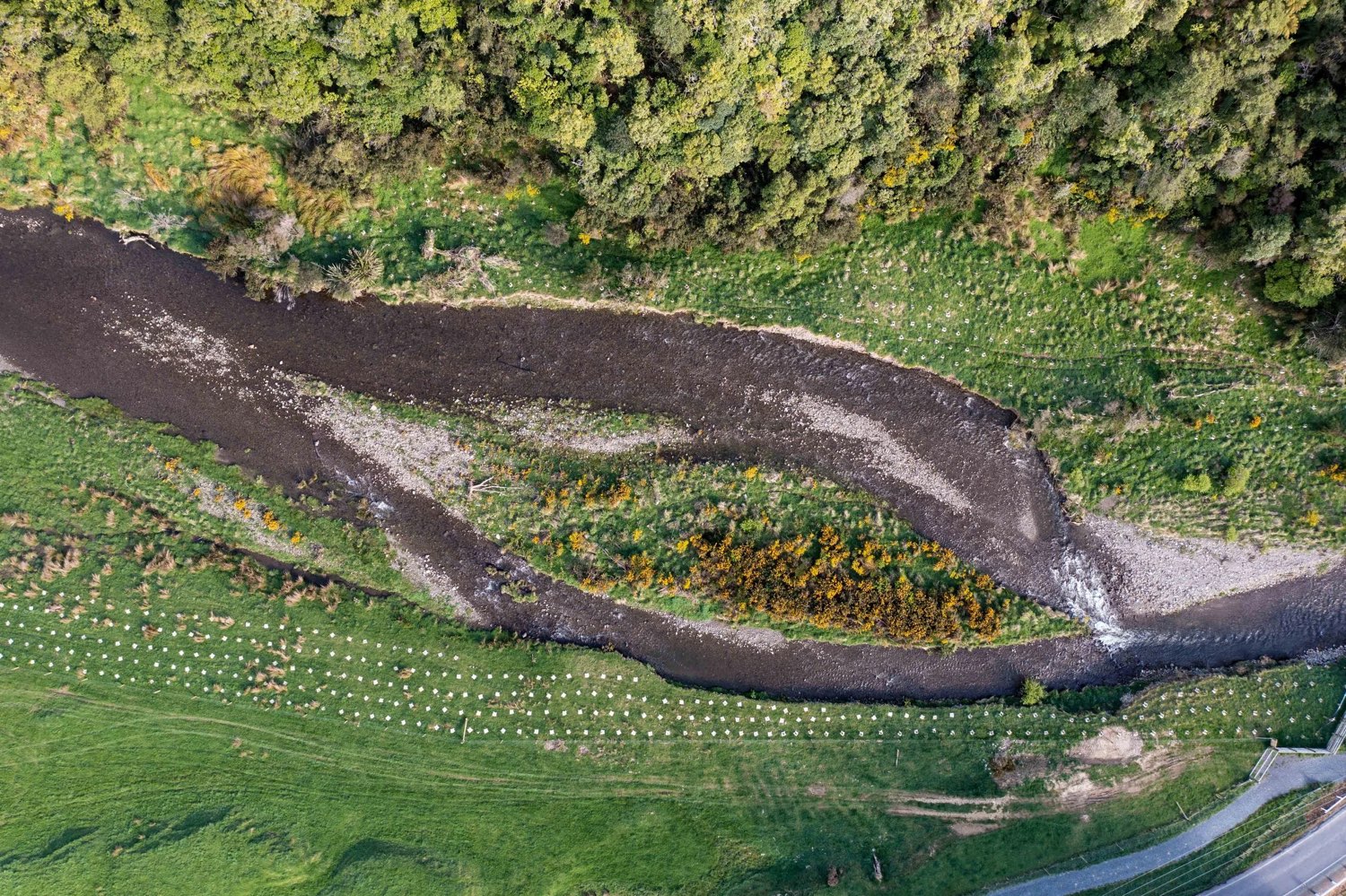 Riparian planting along the Mangaroa River, from the air
