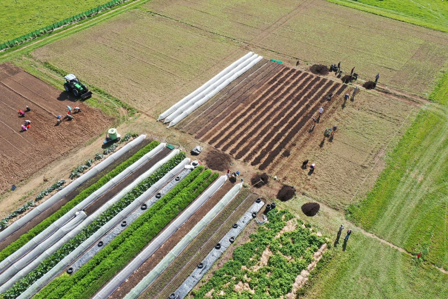 Volunteer day in the market garden, from the air